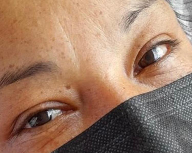 Cejas pelo a pelo de Revival